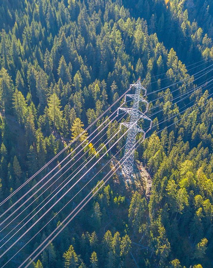 Strommasten und Leitungen über Waldlandschaft