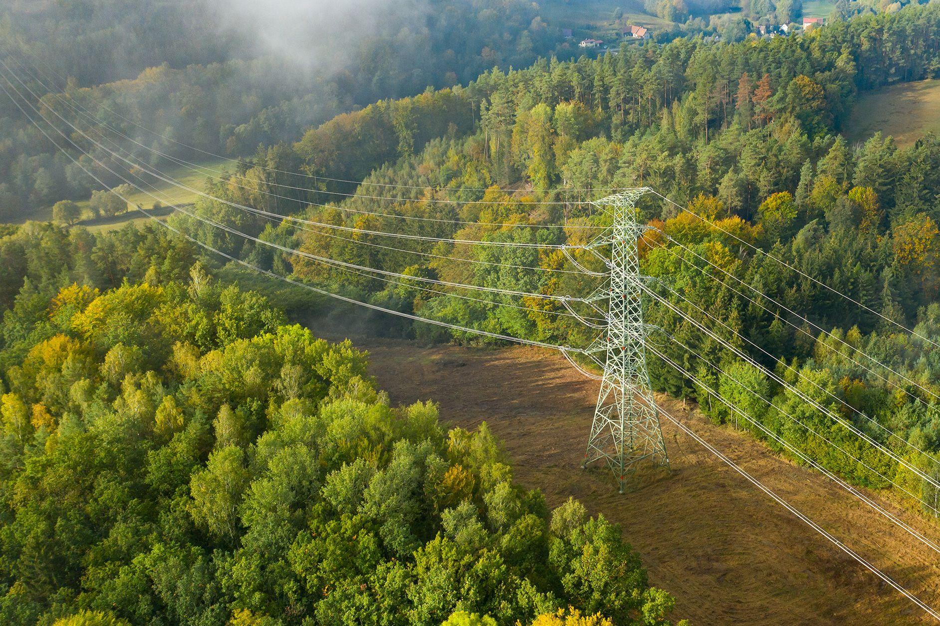 Strommast im Wald