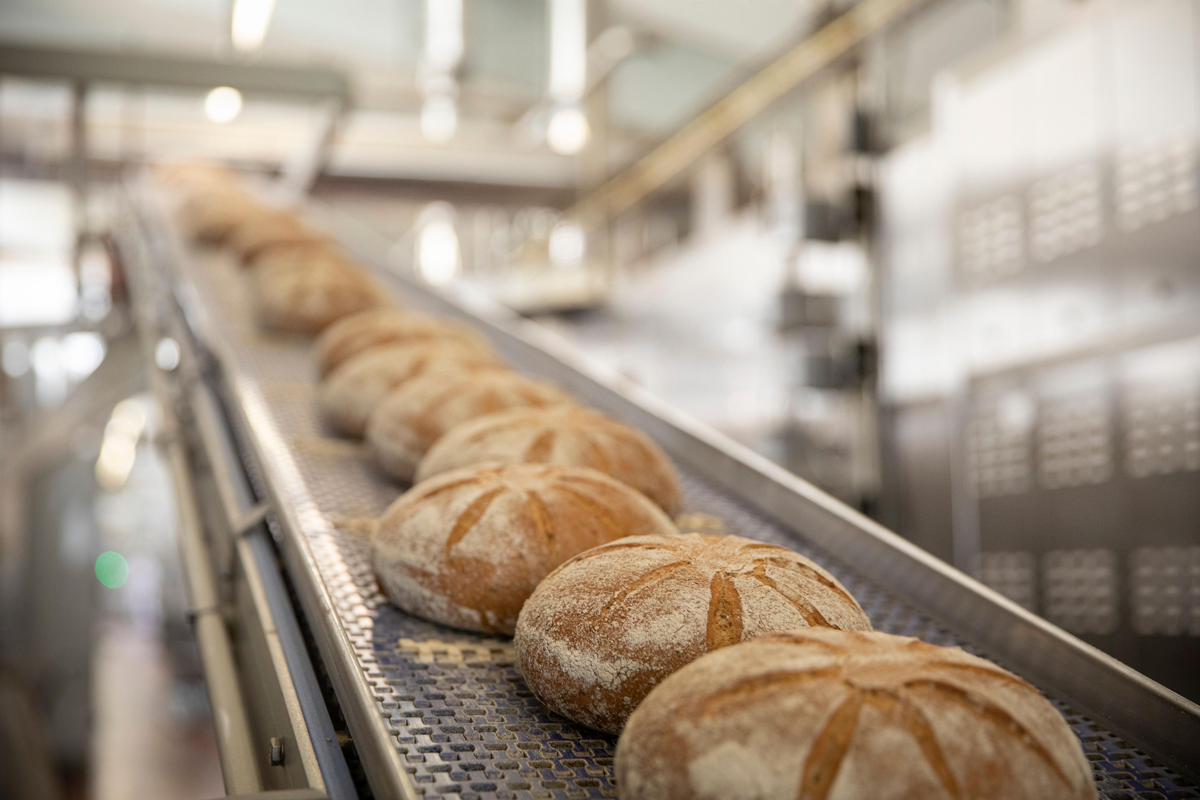 Produktionsstätte Harry Brot