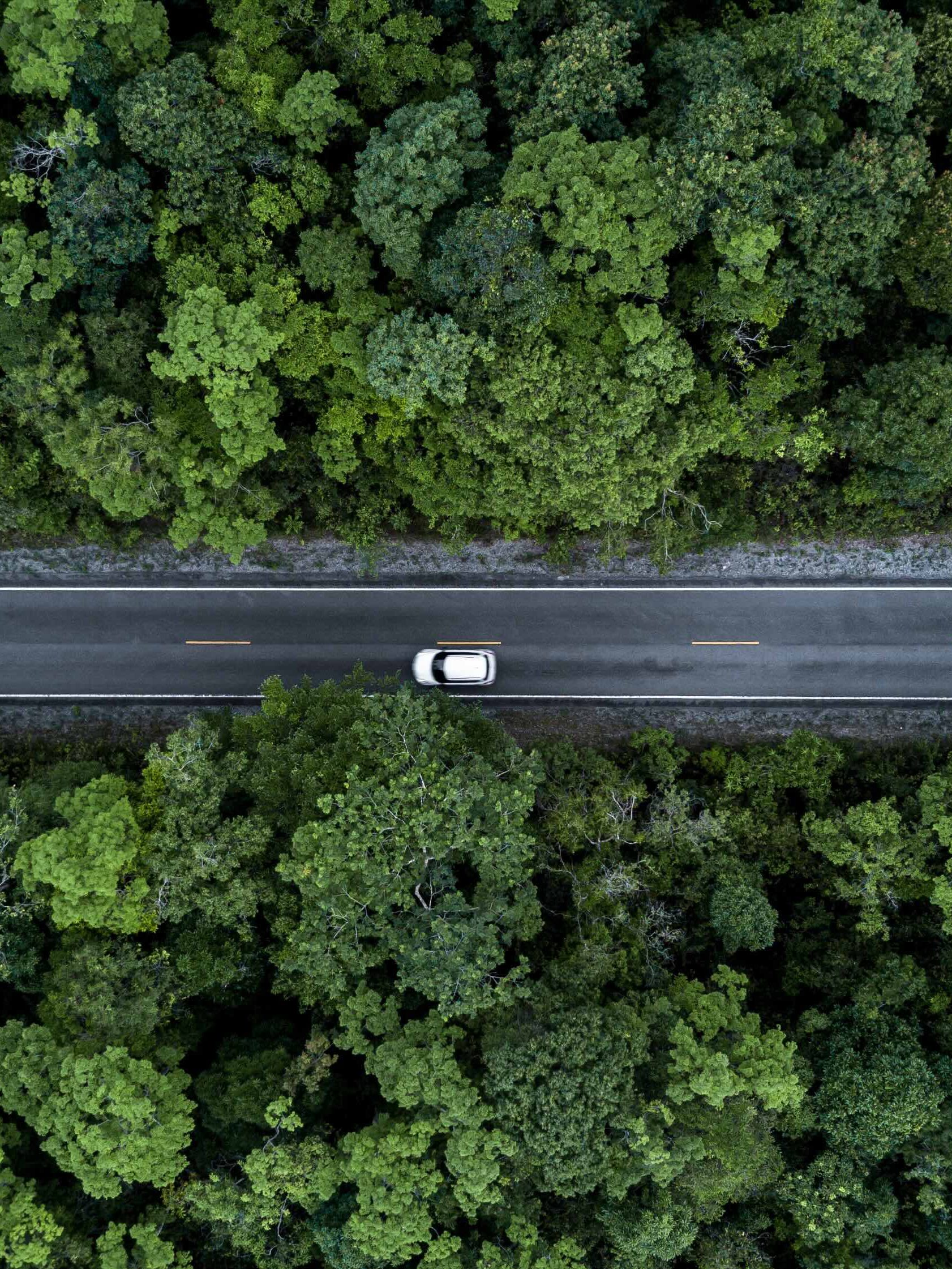 Whitepaper Full Service: Lösungen für den erfolgreichen Betrieb von Ladeinfrastruktur in Unternehmen