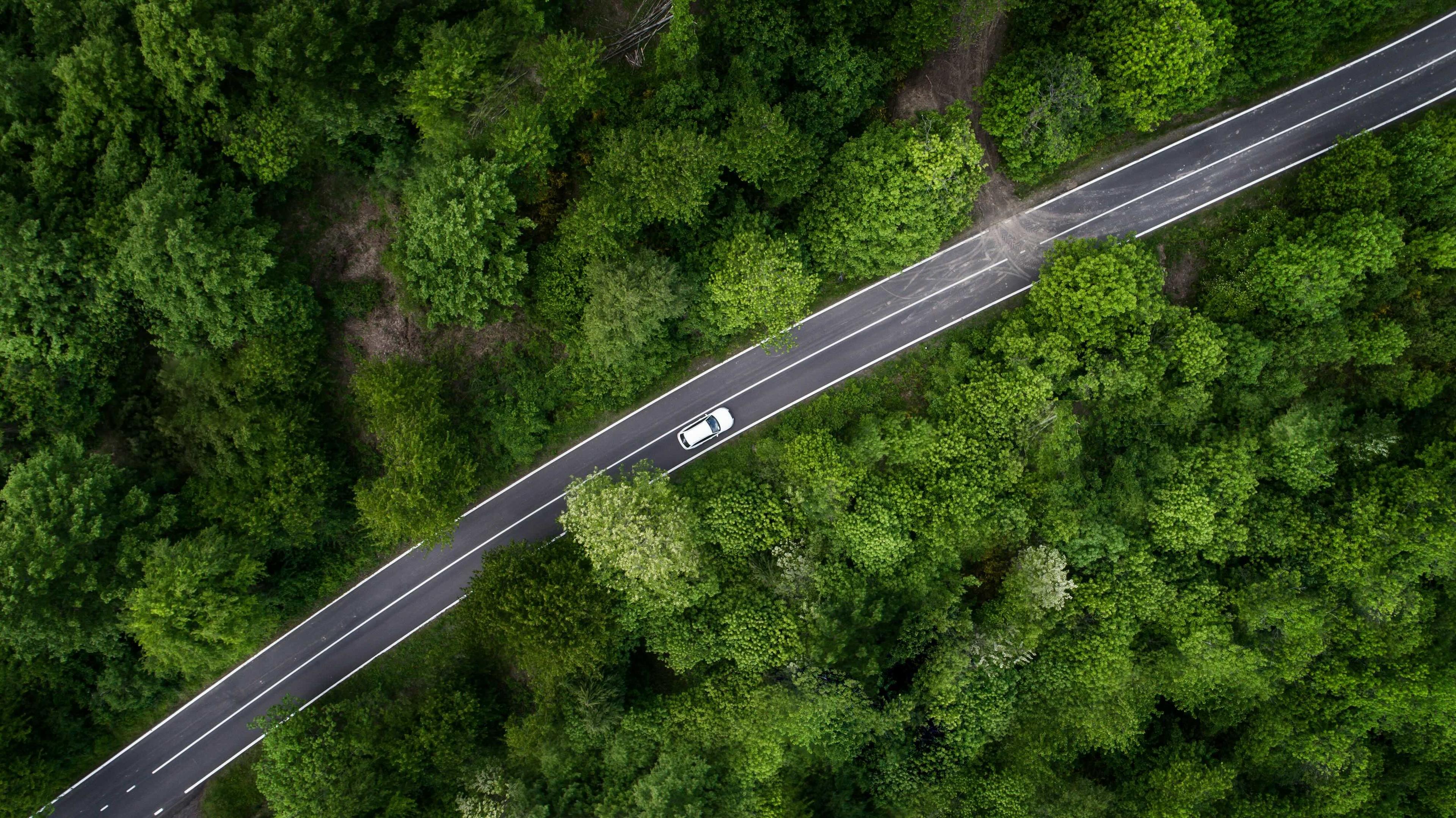 Auto fährt durch den Wald: Vogelperspektive