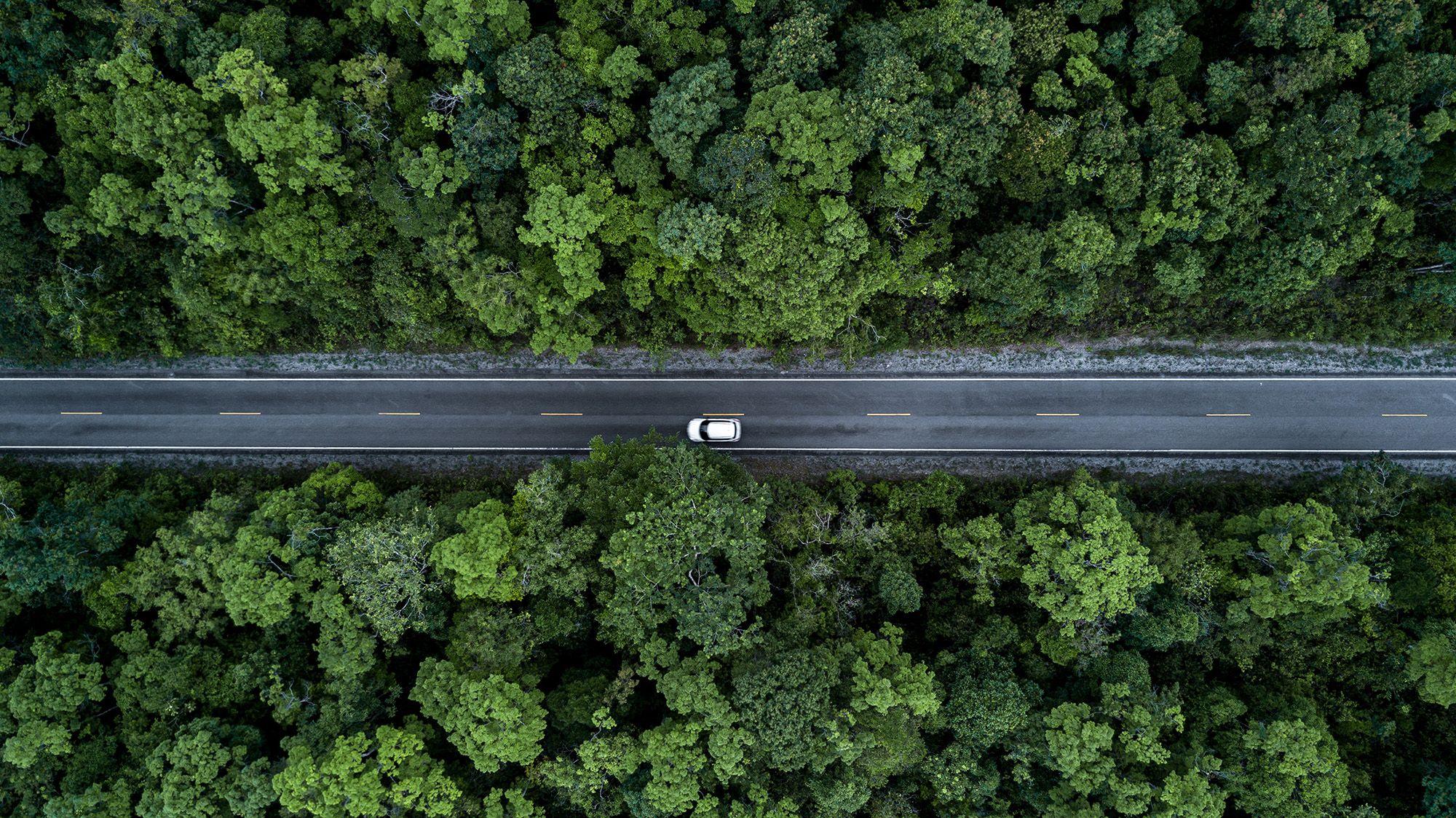 Car drives onto a country road