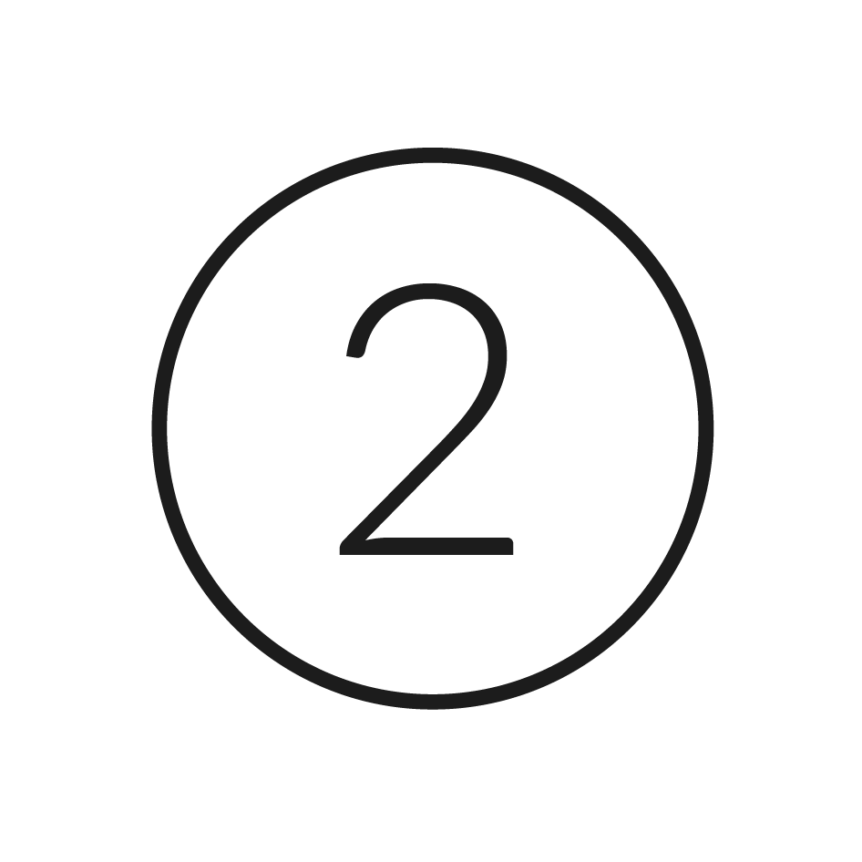 Icon 2