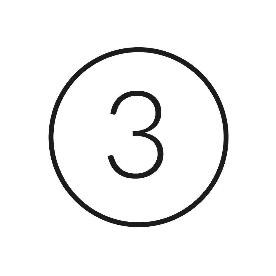 Icon 3