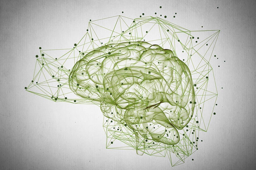 Smarte Lösungen fürs Laden Intelligente Vernetzung im Gehirn