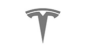 Tesla Logo