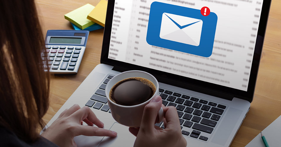 Newsletter bestellen