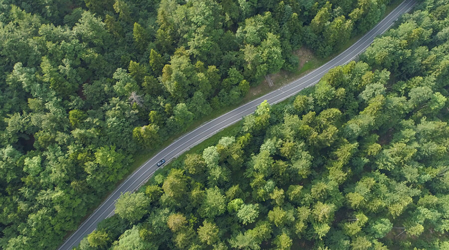 Verbrauch und Reichweite nach WLTP Auto auf der Fahrt durch eine Waldgegend